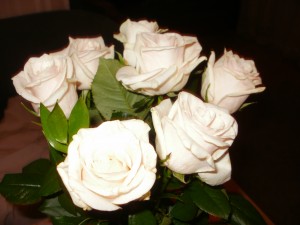 róże od Juli