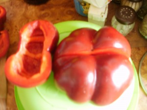 papryka pomidorowa