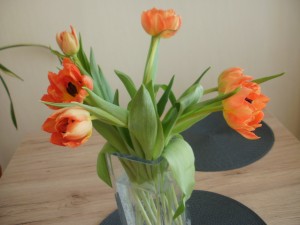 tulipany