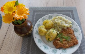 kotlet schabowy w serowej panierce (2a)