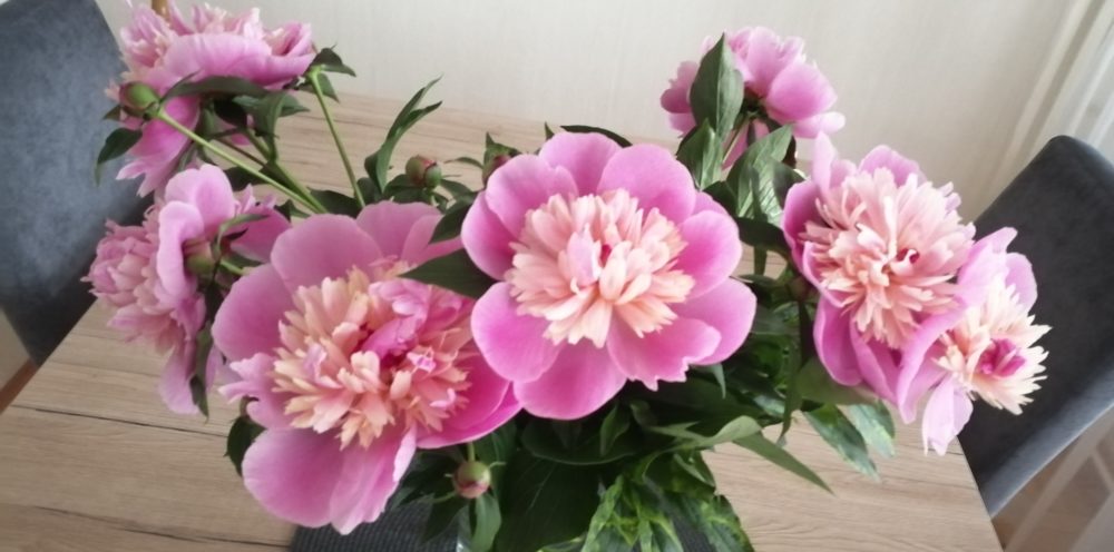 Almanka w kuchni i…