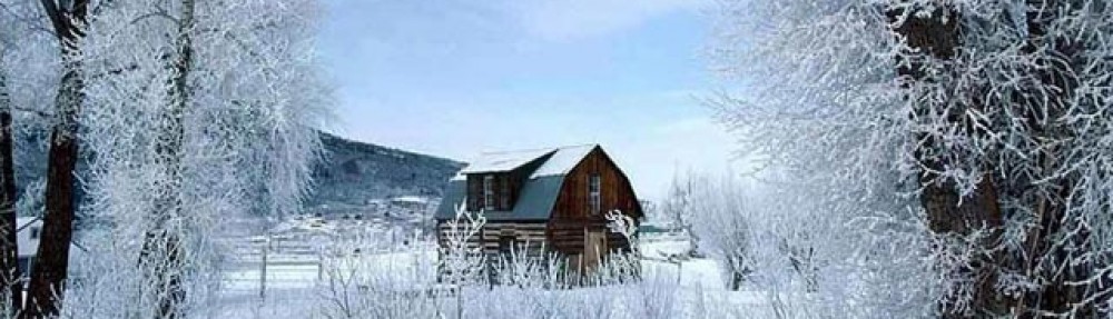 Almanka w kuchni i…