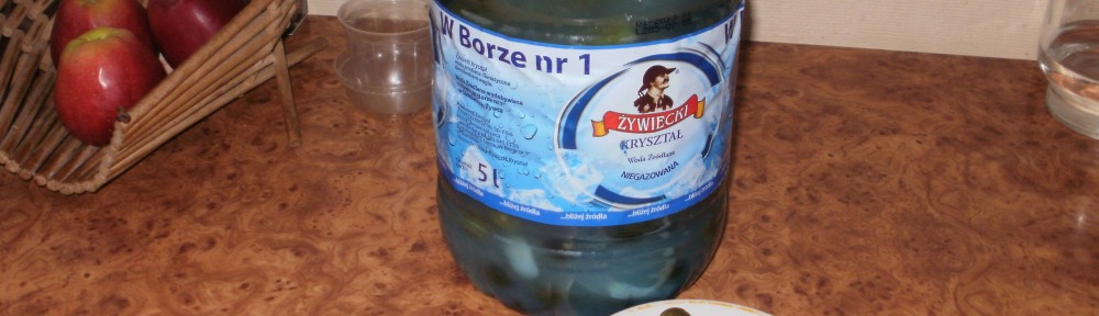 ogórki kiszone na zimę